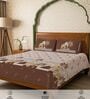 Brown Floral 300 TC Cotton King Sized Fitted Bedsheet with 2 Pillow Covers