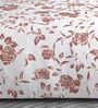 Brown Floral 600TC Cotton Super King Sized Double Bedsheet with 2 Embroidery Pillow Covers