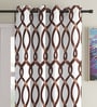 Brown Floral Polyester 7Ft Semisheer Eyelet Door Curtains (Set Of 2)