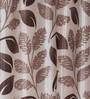 Brown Floral Polyester 7Ft Semisheer Eyelet Door Curtains (Set Of 2)