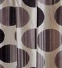 Brown Floral Polyester 9Ft Semisheer Eyelet Door Curtains (Set Of 2)