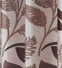 Brown Floral Polyester 9Ft Semisheer Eyelet Door Curtains (Set Of 2)