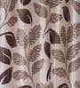 Brown Floral Polyester 9Ft Semisheer Eyelet Door Curtains (Set Of 2)