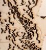 Brown Framed Laser Engraved & Hand Crafted Multi-layered 3D Kerala Wooden Map