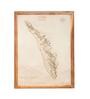 Brown Framed Laser Engraved & Hand Crafted Multi-layered 3D Kerala Wooden Map