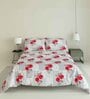 Red and White Floral 180 TC Cotton Queen Sized Double Bedsheet with 2 Pillow Covers