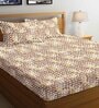 Brown Geometric 144 TC 100% Cotton Fitted Bedsheet & 2 Pillow Covers