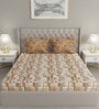 Brown Abstract 144 TC Cotton Queen Sized Bed Sheets with 2 Pillow Covers