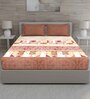 Brown Geometric 150 TC Cotton Queen Sized Bed Sheets with 2 Pillow Covers