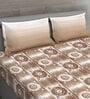 Brown Geometric 150 TC Cotton Queen Sized Bed Sheets with 2 Pillow Covers