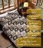 Brown Geometric 400 TC Cotton 4 Pieces Bedding Set Luxury Collection