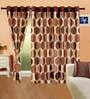 Brown Geometric Polyester 5 Ft Semisheer Eyelet Door Curtains (Set of 2)