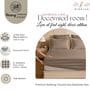 Brown Glace Cotton Solid Elastic Fitted King Bedsheet With 2 Pillow Covers