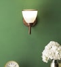Frappe Brown Glass Wall Sconces