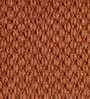 Brown Sisal Solid 4 x 6  Feet Machine Made Carpet