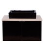 Stainless Steel Bathroom Vanity in Black With Counter Top Wash Basin