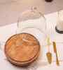 Brown Mango Wood  Cloche With Wooden Base