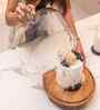 Brown Mango Wood  Cloche With Wooden Base