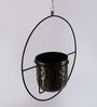 Brown Metal Hanging Planter
