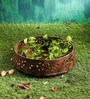 Brown Metal Planter Pot