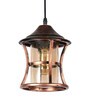 Troyes Gold Metal Hanging Light