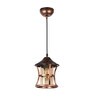 Troyes Gold Metal Hanging Light