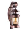 Aphro Brown Metal Novelty Wall Light