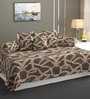 Brown Microfibre 240 TC 6 Pcs Diwan Set