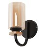 Contemporary Brown Mild Steel Wall Sconces