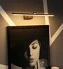 Indulge Metal LED Picture Light (Brown)