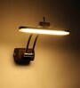 Indulge Metal LED Picture Light (Brown)