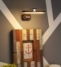 Indulge Metal LED Picture Light (Brown)