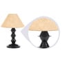 Brown Fabric Shade Table Lamp With Black Base