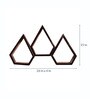 Set of 3 Solid Wood Pentagon Shaped Wall Shelf in Brown Colour