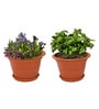 Brown Plastic 8 Inch Heavy Duty Planters Pots