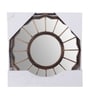 Brown Plastic (Set of 2) Wall Mirrors