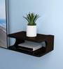 Precious Brown Plywood Wall Shelf