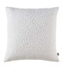 Brown Textured Poly Cotton 16 x 16 Inches Cushion Covers (Set of 2)