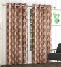 Brown Polyester Floral 8Ft Semisheer Eyelet Door Curtains (Pack of 2)