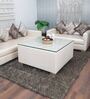 Brown Shaggy Polyester 3 ft x 5 ft Shaggy Carpet
