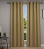 Brown Solid Polyester 7 Ft Semisheer Eyelet Door Curtains (Set of 2)