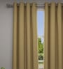 Brown Solid Polyester 7 Ft Semisheer Eyelet Door Curtains (Set of 2)