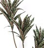 Brown Polyester Artificial Draceana Plant Without Pot