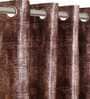 Brown Polyester Textured 7FT Light Filtering Eyelet Door Curtains (Pack of 2)