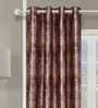 Brown Polyester Textured 7FT Light Filtering Eyelet Door Curtains (Pack of 2)