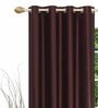 Brown Solid Polyester 5 Ft Light Filtering Eyelet Window Curtains (Set of 2)