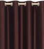 Brown Solid Polyester 5 Ft Light Filtering Eyelet Window Curtains (Set of 2)