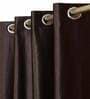 Brown Solid Polyester 5 Ft Light Filtering Eyelet Window Curtains (Set of 2)