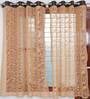 Brown Floral Polyester 5 Ft Sheer Eyelet Window Curtains (Set of 2)