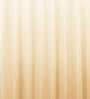 Brown Polyester Shower Curtain